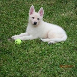 Meet your Posher, Linda